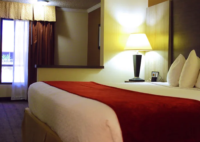 Best Western Galleria Inn & Suites Cheektowaga