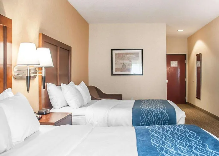 Comfort Inn & Suites Hamburg - Buffalo South