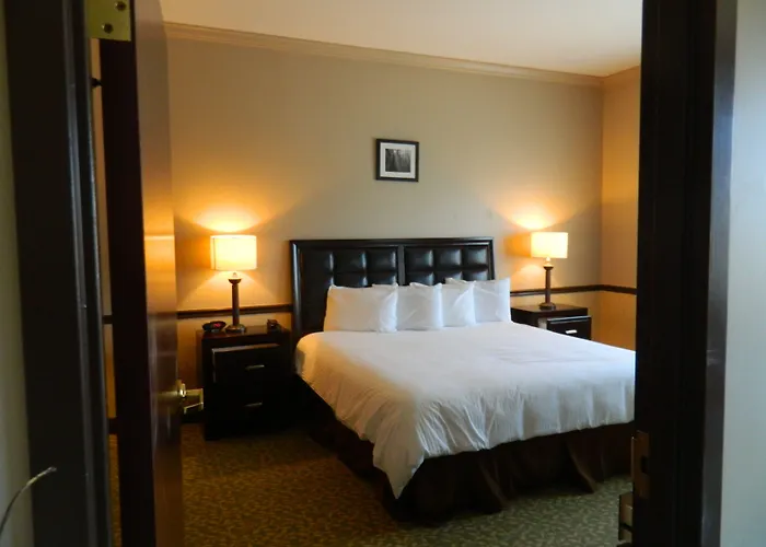 Belvedere Inn Schenectady - Albany