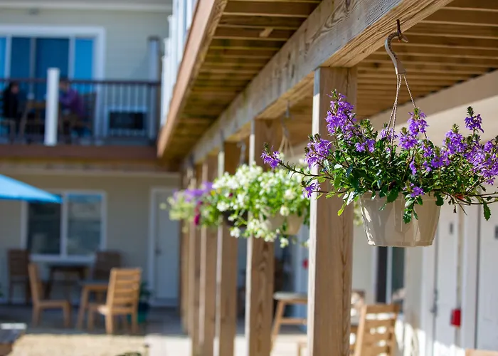 Hotels in Montauk
