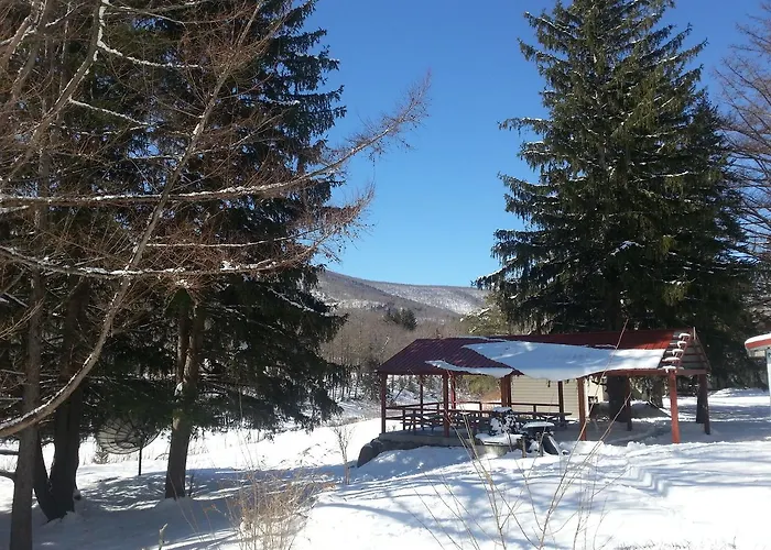 Hunter View Lodging