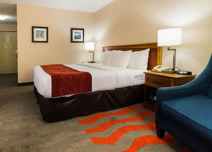Pet friendly Comfort Inn & Suites Airport Syracuse