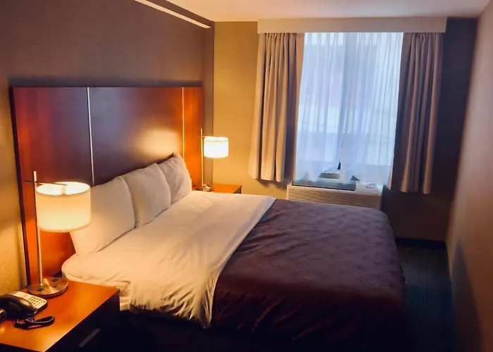 Prince Flushing Hotel Nova Iorque aceita animais de estimação
