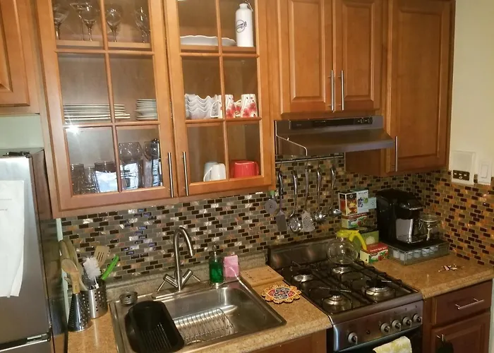 Cozy Fully Furnished Apartment Near Prospect Park & Public Transport Nueva York