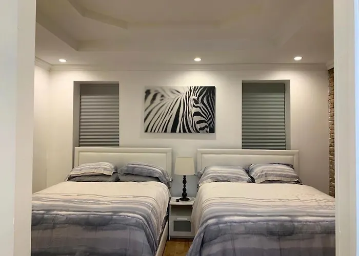 Newly Renovated Duplex Apartment 2 New York che accetta animali
